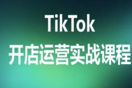 TikTok跨境电商开店运营实战课程 全流程实操方法详解