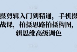 手机拍摄剪辑从入门到精通 摄影调色构图实战系统教程