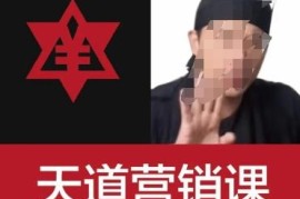 天道老阮天道营销课 掌握赚钱底层规律缓解创业焦虑