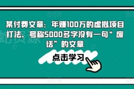 年赚100万虚拟项目实操打法 5000字无废话全流程经验分享
