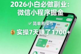2026小白可做低门槛副业 微信小程序掘金实操收益及玩法分享