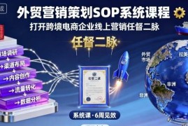 外贸营销策划SOP系统课程 跨境电商企业线上营销实操提升教程