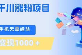 千川涨粉低门槛副业实操 无需技术单部手机单日变现上千元