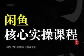 2024闲鱼核心实操课程 养号选品发布出单全流程教学
