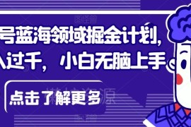 视频号蓝海领域掘金实操攻略 零基础小白可上手的变现项目