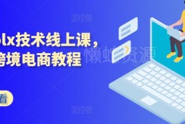波兰OLX跨境电商运营教程 含流量分析注册产品上传全流程