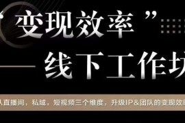 直播间私域短视频三维度 升级IP与团队变现效率工作坊全解析