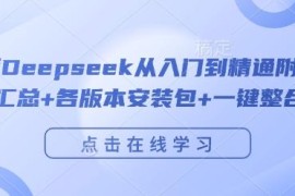 Deepseek从入门到精通全指南 附安装包指令汇总及部署攻略