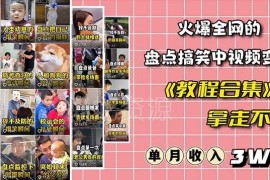 抖音搞笑盘点中视频项目玩法详解 附全套素材工具礼包