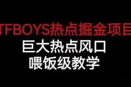 TFBOYS热点掘金项目实操教学 全流程拉新玩法步骤详解