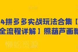 2024拼多多从0到1全流程实战玩法 新手开店运营教程合集