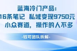 16条笔记私域变现近万元 低竞争小众蓝海副业项目详解