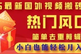 2025TikTok风景视频搬运副业 零基础高收益实操玩法指南