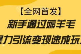 新手薅羊毛引流变现实操玩法 低门槛互联网副业入门指南