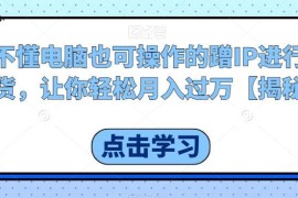 无需电脑基础可操作的蹭IP带货项目 实操玩法与变现思路分享