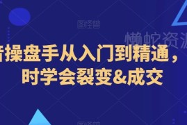 抖音操盘手从入门到精通教程 3小时学会裂变玩法与成交技巧