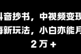 2024抖音抄书中视频变现玩法 零基础小白零粉即可操作盈利