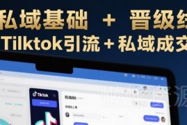 跨境私域基础到晋级系统线上课 TikTok引流到私域成交实操教程