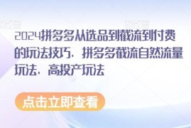 2024拼多多从选品截流到付费玩法 高投产实操技巧全攻略