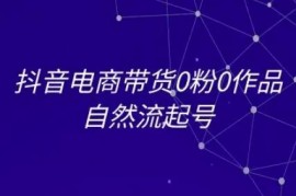 抖音电商0粉0作品自然流起号教程 全套实操运营方法分享