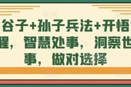 鬼谷子孙子兵法开悟课程 学处事智慧洞察世事做对人生选择