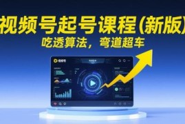 新版视频号起号实战课程 吃透平台算法掌握直播流量运营方法