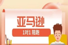 亚马逊FBA/FBM精铺1对1陪跑课 新手跨境开店全流程教程
