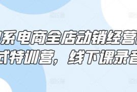 淘系电商全店动销特训营线下课录音 含运营推广实操内容