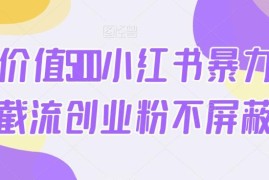 小红书截流创业粉无限发布不屏蔽方法 多账号抗封运营教程
