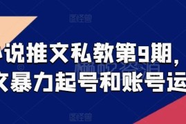 小说推文私教第9期教程 暴力起号及账号运营学习资料