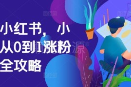 小红书从0到1运营全攻略 涨粉多模式变现实操方法详解