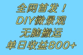 冷门DIY微景观赚钱项目拆解：搬运视频引流日入800+实操教程