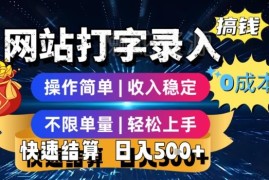 正规零成本打字录入副业全解析 操作简单不限单量收益稳定