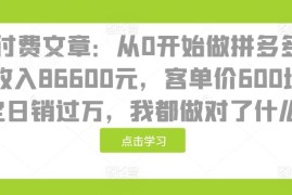 拼多多高客单价避价格战玩法 18天销售额8.66万实操经验全分享