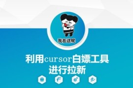 如何利用Cursor白嫖工具做拉新 普通人零成本网创实用技巧