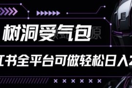 小红书等全平台树洞受气包项目玩法 低门槛轻运营副业实操解析
