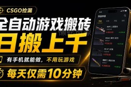 CSGO饰品全自动搬砖项目详解 无需玩游戏手机即可操作盈利