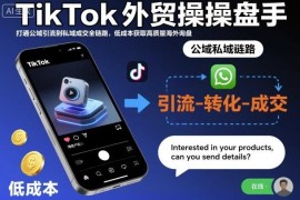 TikTok外贸操盘手实操教程 打通公域私域链路低成本获海外询盘