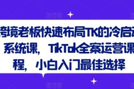 TikTok全案运营系统课 跨境卖家TK冷启动入门实操教程