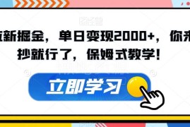 拉新掘金项目保姆式实操教学 落地可实现单日变现2000+