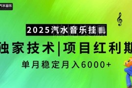 2025汽水音乐推广赚钱项目解析 新手可操作的稳定收益玩法揭秘