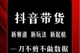 抖音无剪辑无直播带货玩法 每日发短视频即可赚取带货佣金