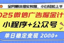 2025微信广告掘金实操攻略 公众号+小程序双端变现教程